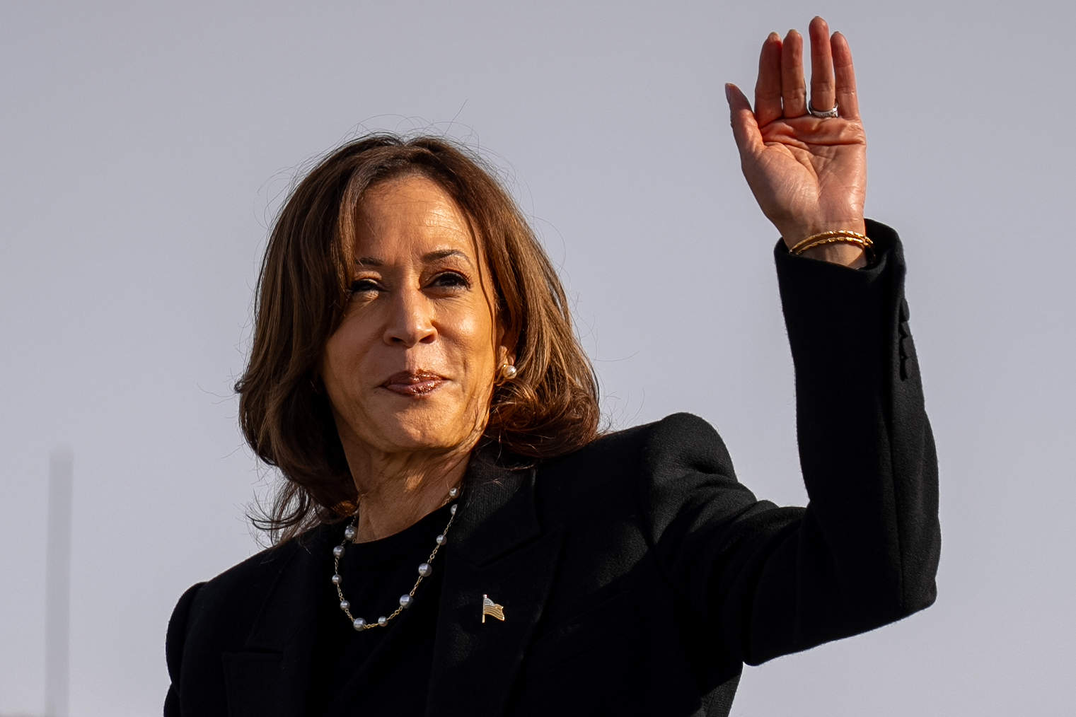 Polls may ‘underestimate’ Kamala Harris’ chances – political analyst