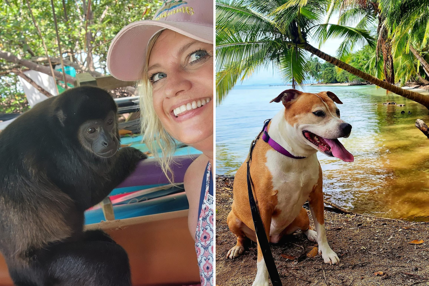 Florida teacher quits job, sells home, moves to off-grid island with dog