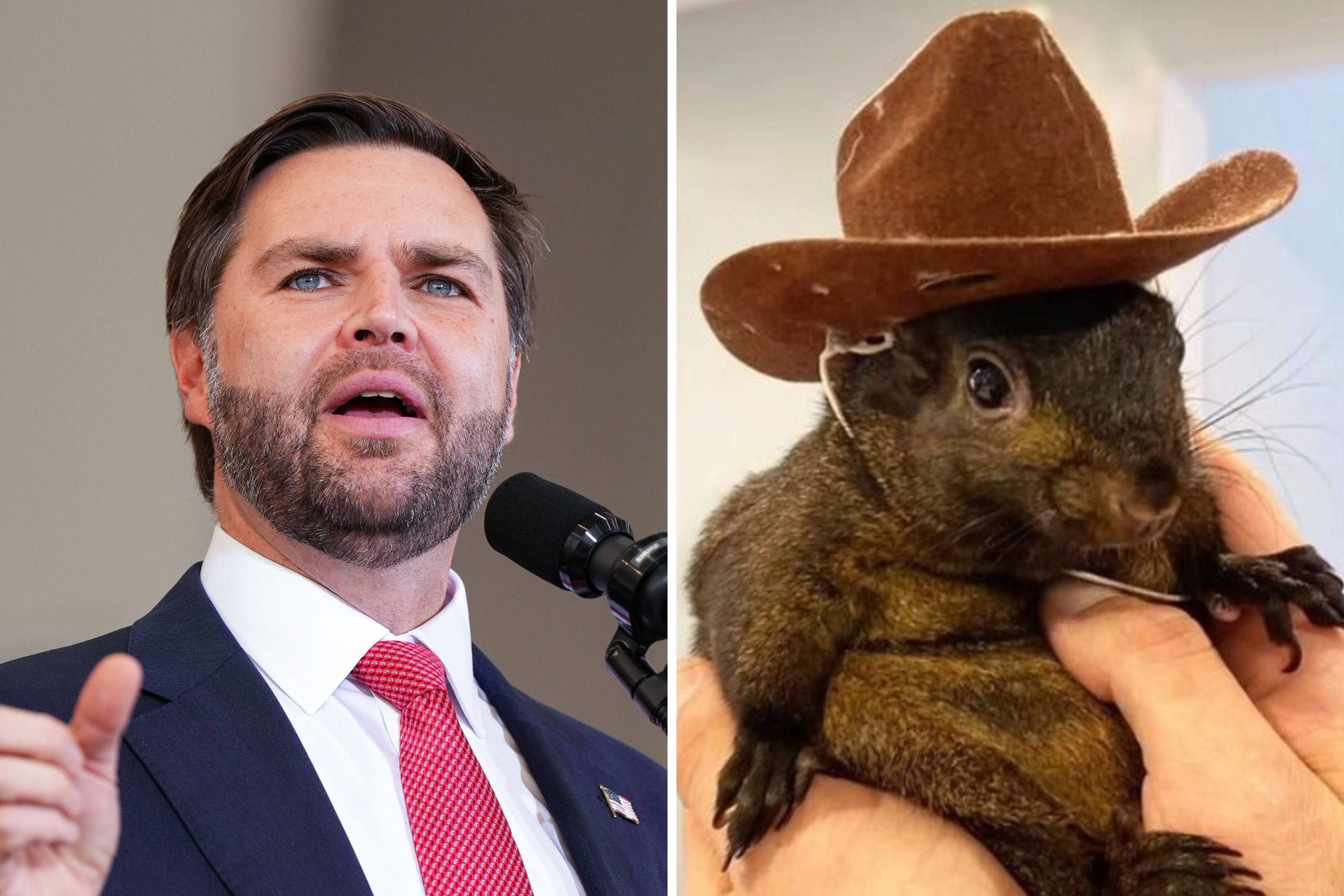 Photo: Split of Ohio Senator JD Vance and P'Nut. (@peanut_the_squirrel12/ASSOCIATED PRESS)