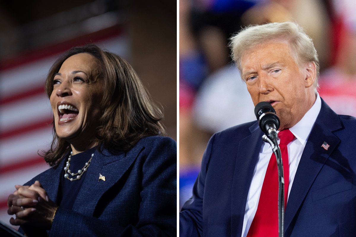 Dimostrazioni di Kamala Harris e Donald Trump