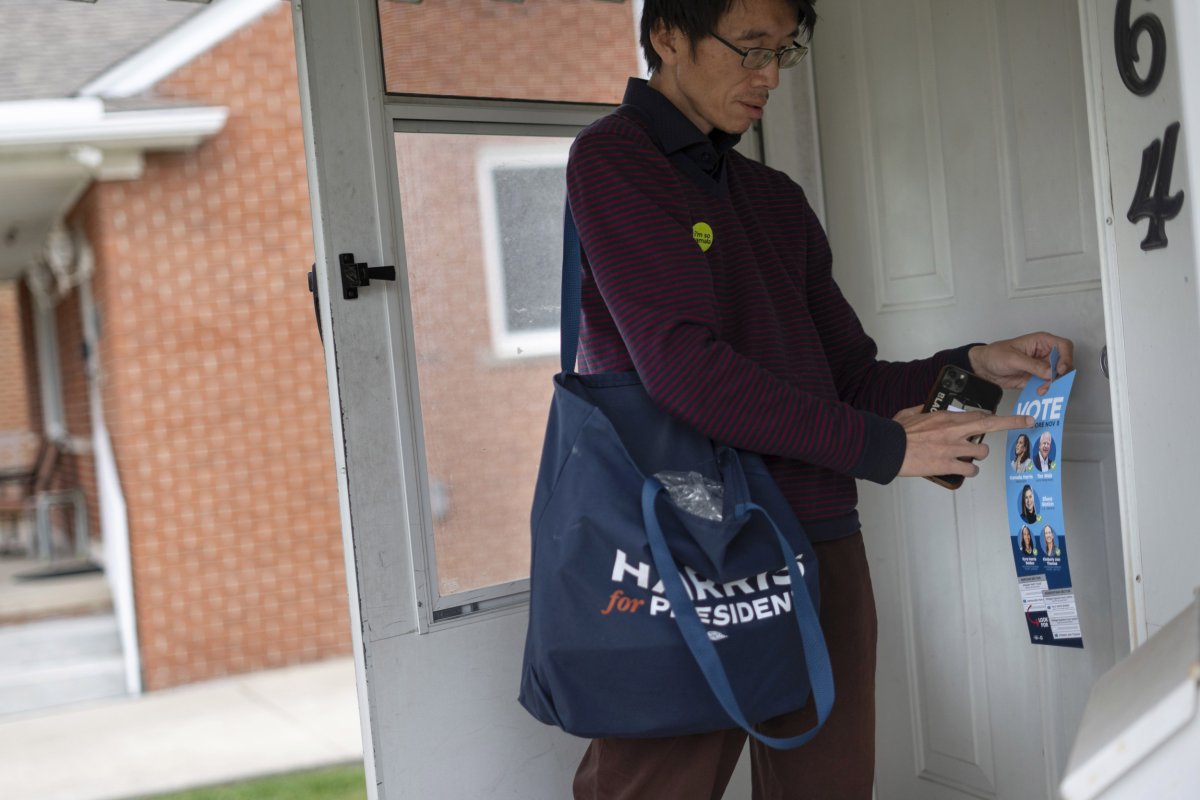 Andy Lei, Democratic campaign worker