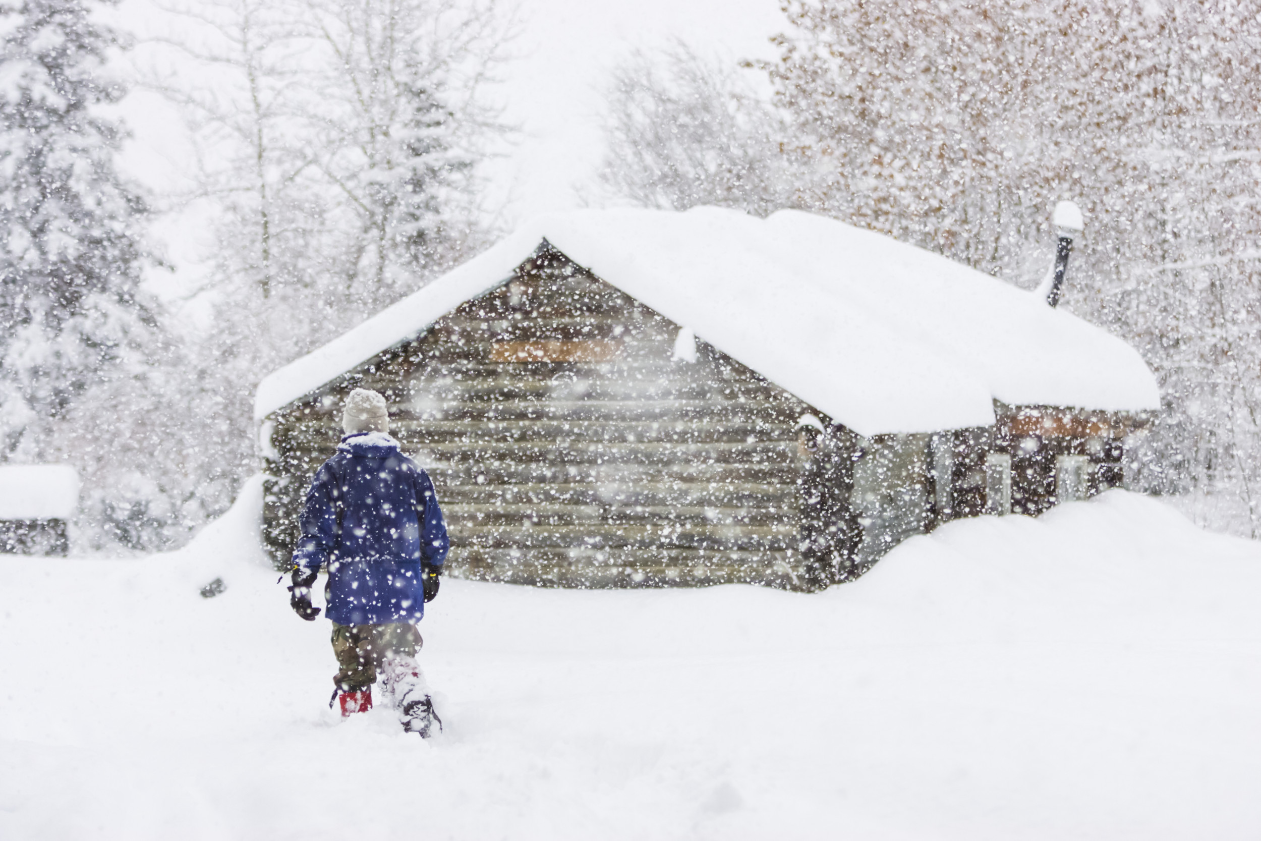 Winter Storm Warning Issued for 5 States - Newsweek