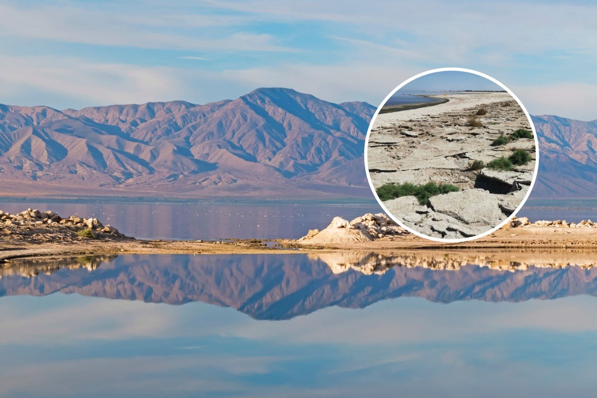 salton sea shoreline