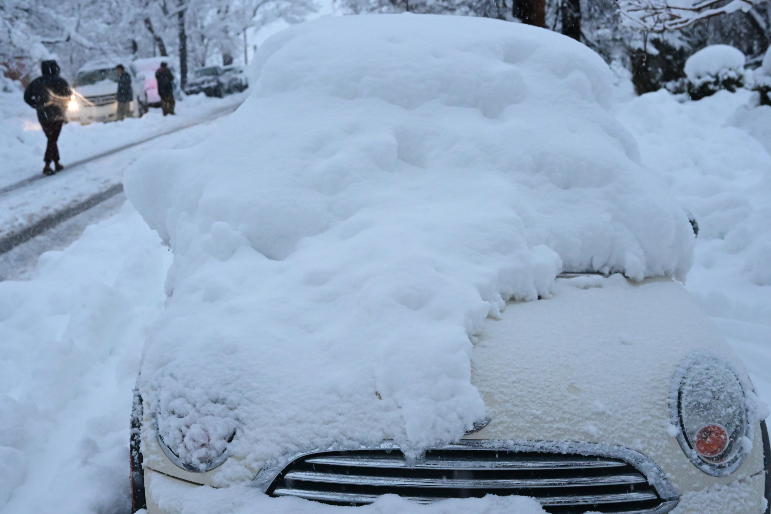 ◆THE COLDEST MOMENT TCM snow T/2色◆ THE COLDEST MOMENT(ザコールデストモーメント) - 海外通販のBUYMA