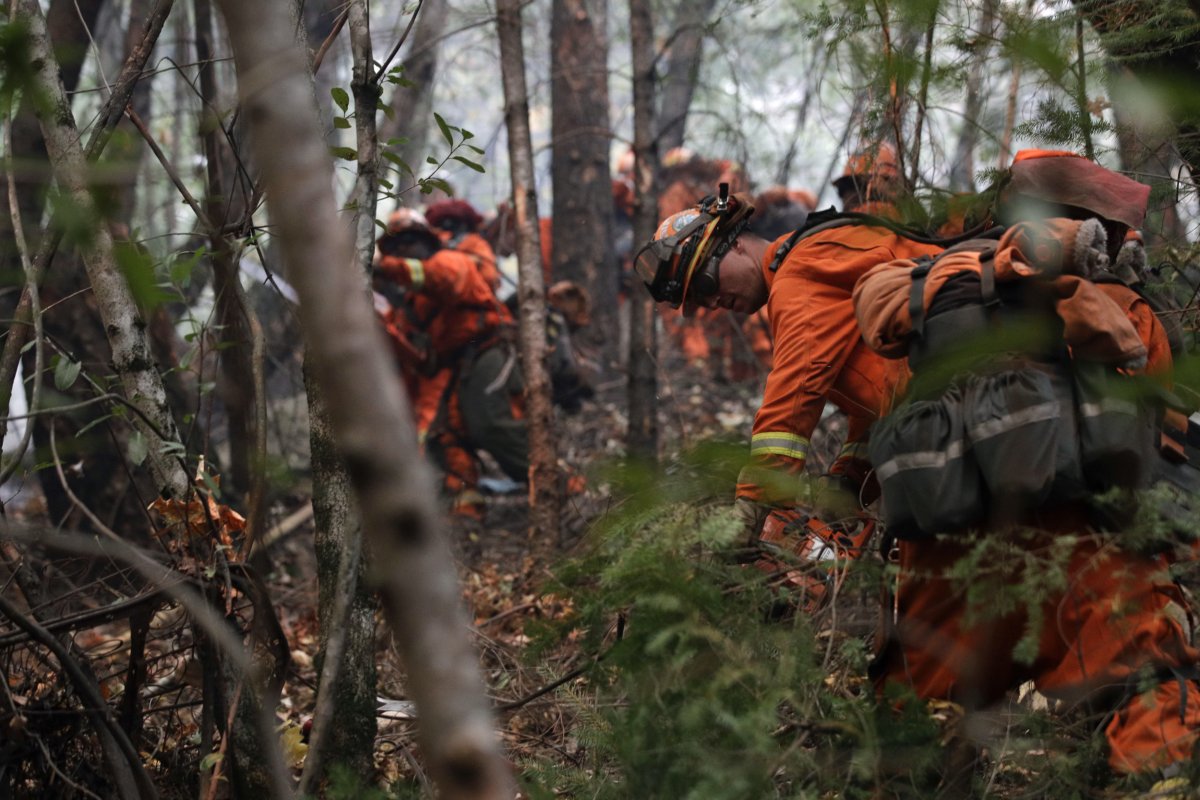 Inmates working as firefighters, CA