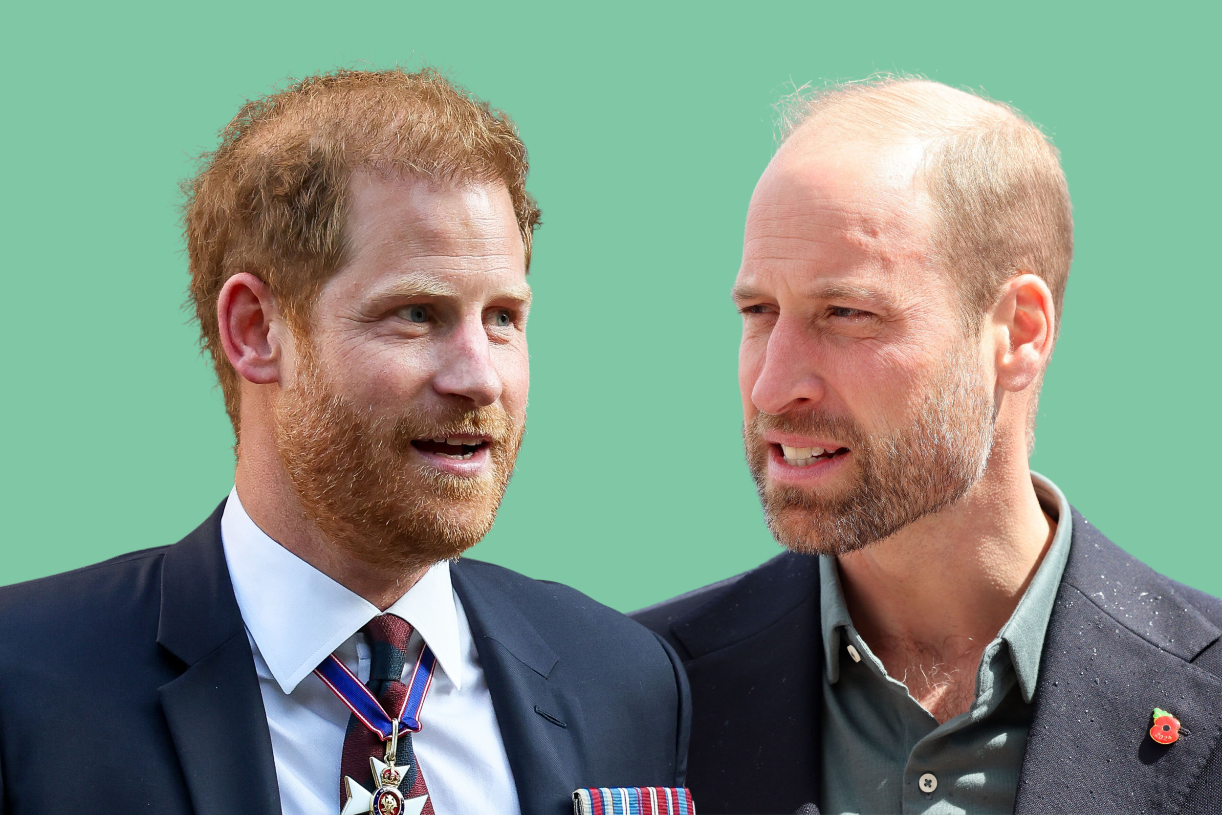 What Prince Harry said about William writing a book one day