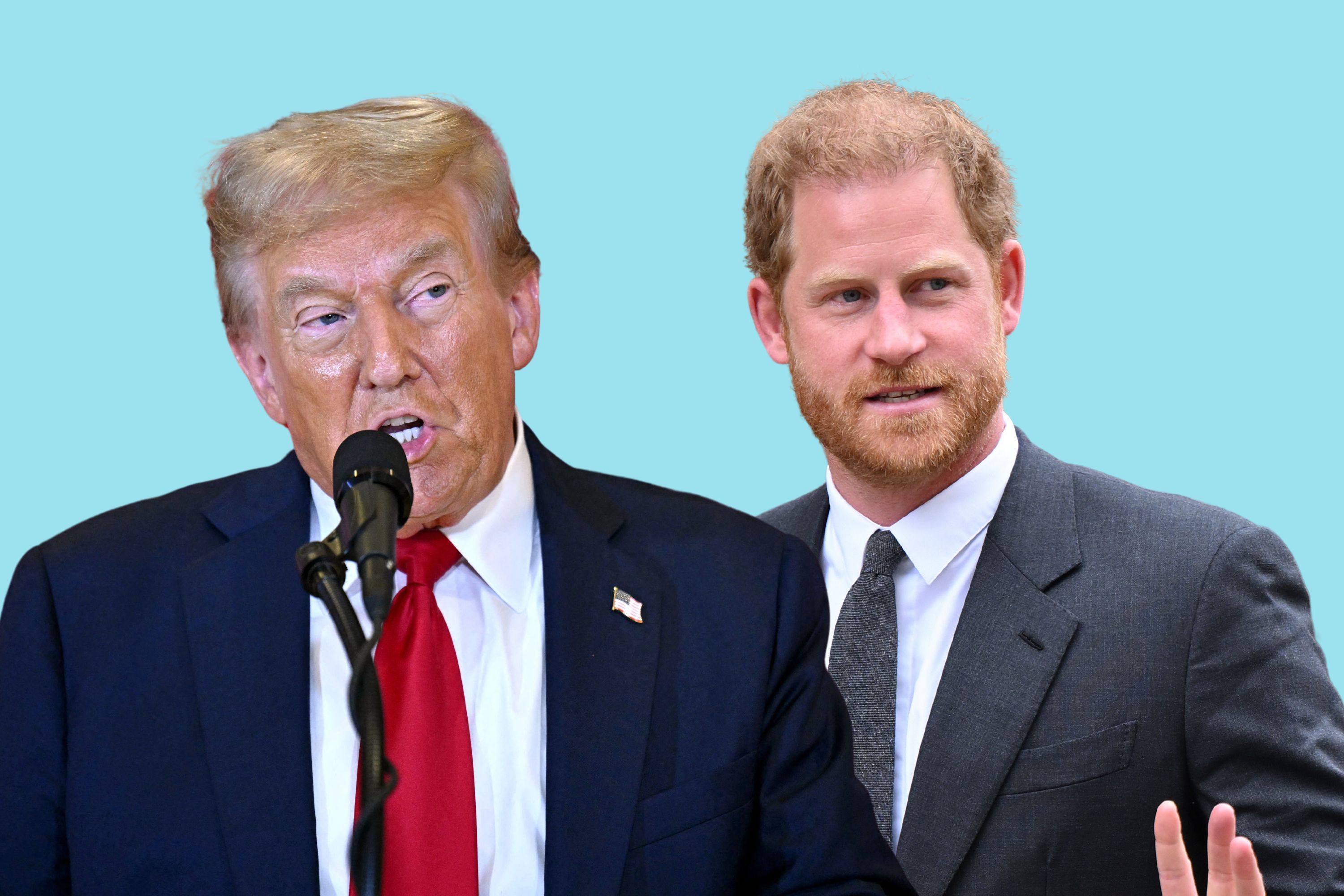 What Donald Trump Presidency Means for Prince Harry's Visa