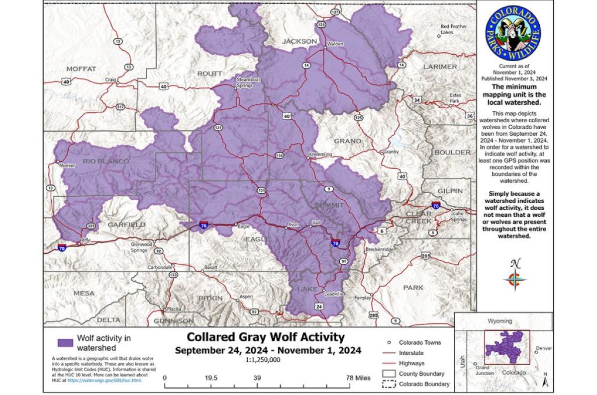 Colorado Wolves Map Reveals How Far Wolves Have Spread Newsweek Map Wolves Colorado 