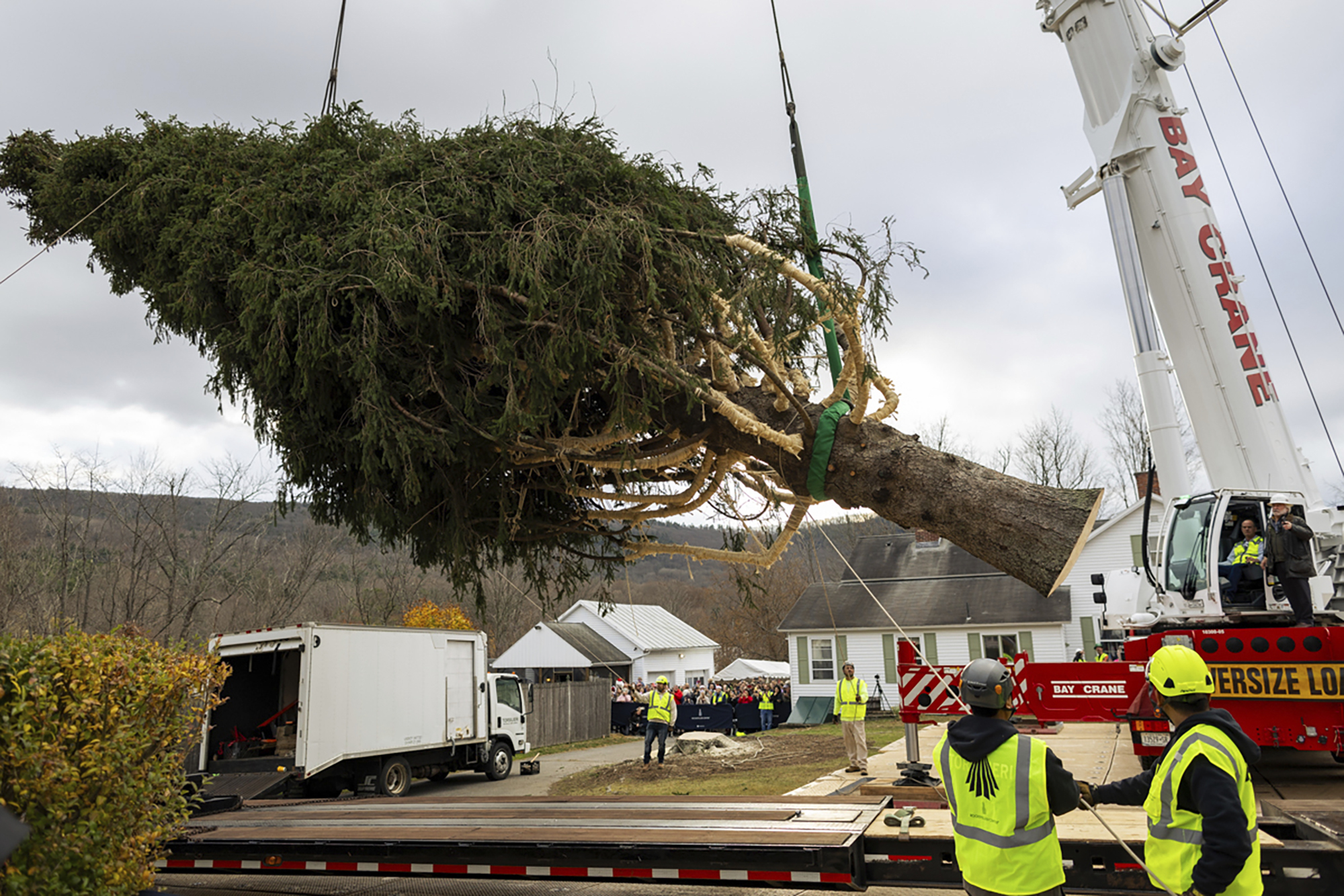 Rockefeller Center Christmas Tree Arrives in Manhattan