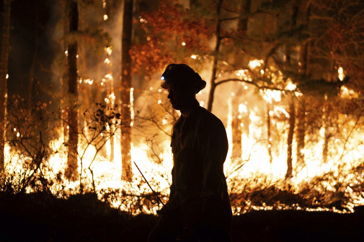 Shotgun Wildfires in New Jersey