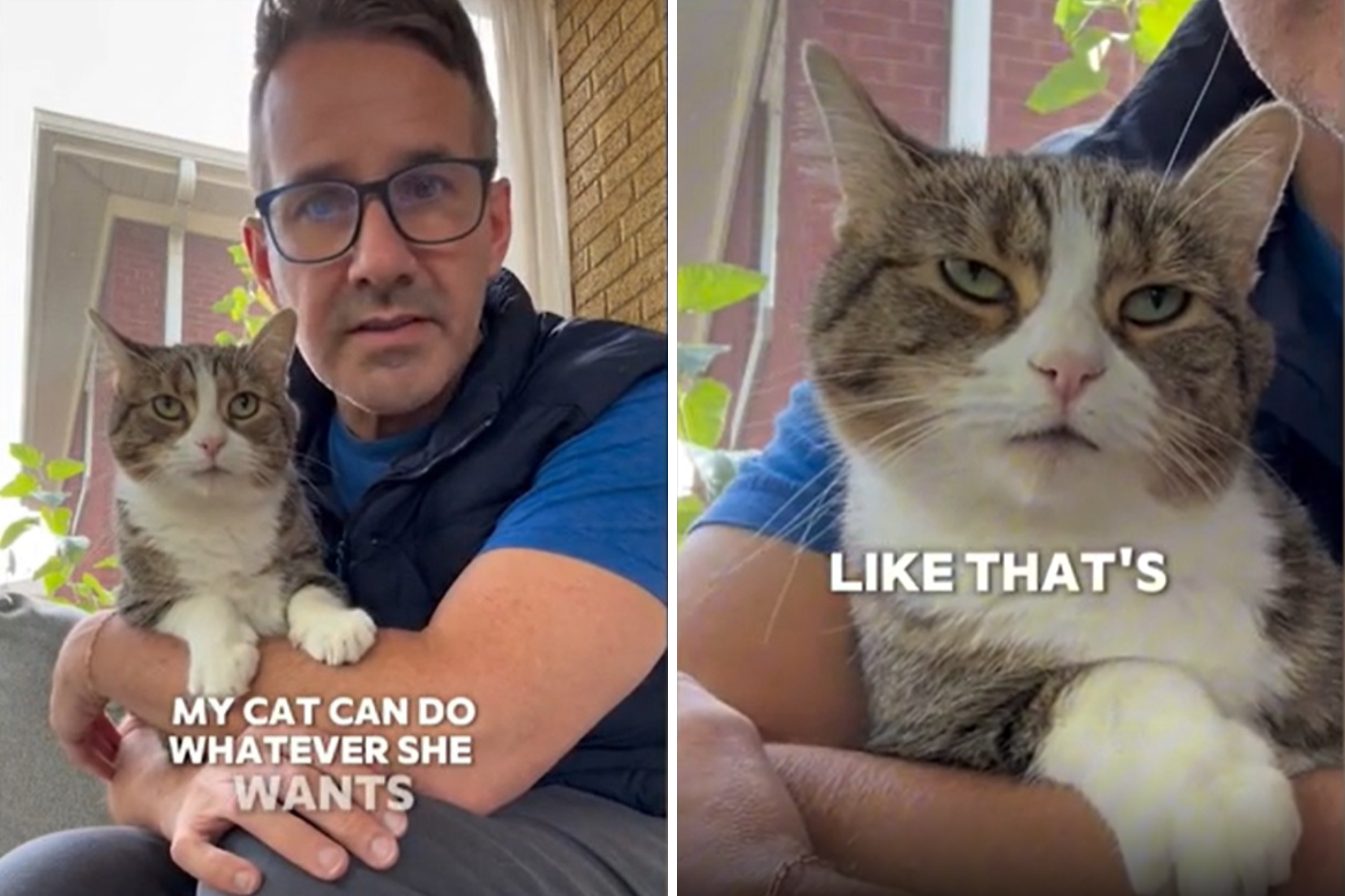 Vet's Hysterical Clapback to People Hating on His Cat: 