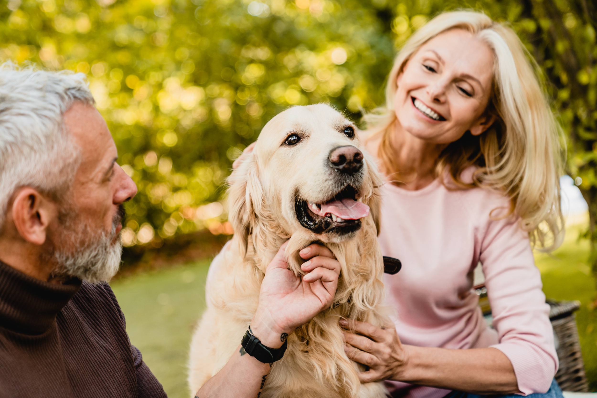 Dog Who Forgets Owner Exists When Grandparents Visit Delights Internet ...