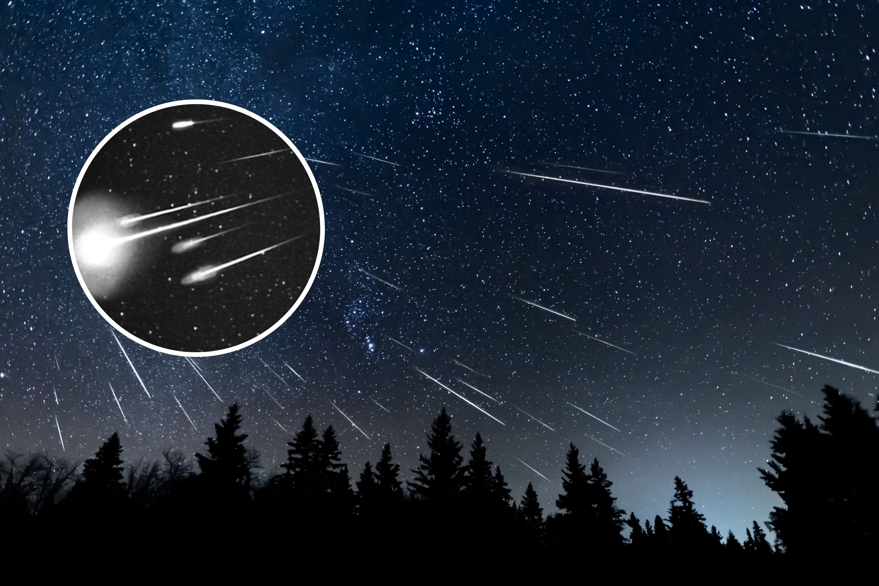 Leonid Meteor Shower 2024 How To Watch It Peak Next Week Newsweek