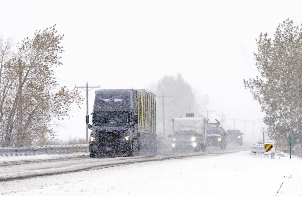 Allerte meteo invernali emesse per cinque stati per nevicate “pericolose”.