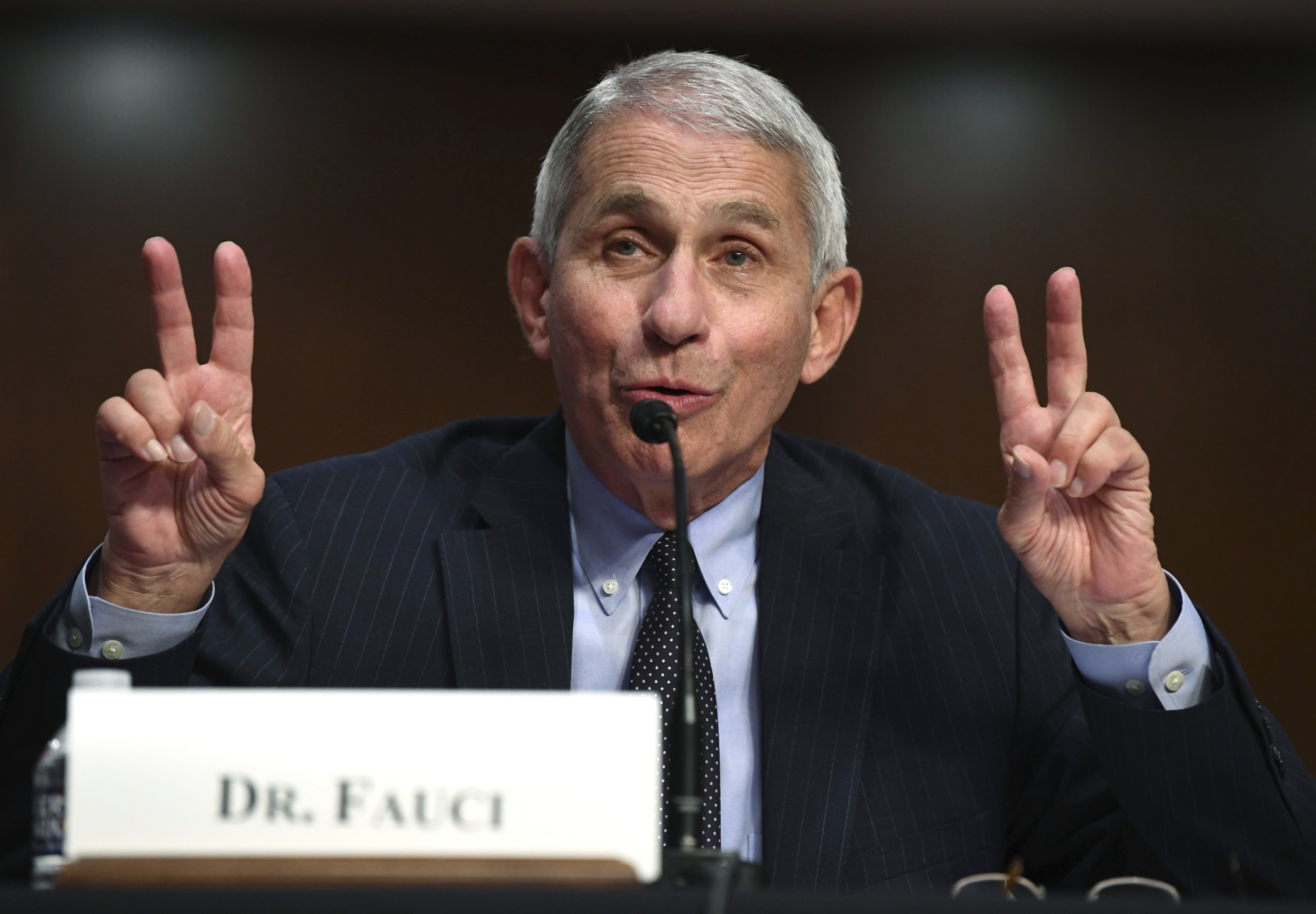 'Prosecute Fauci' Calls Grow Among MAGA After Trump's Victory