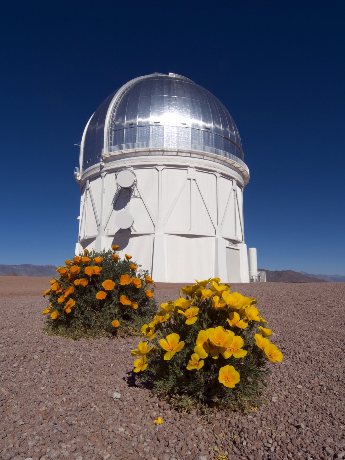 Il telescopio Victor M. Blanco