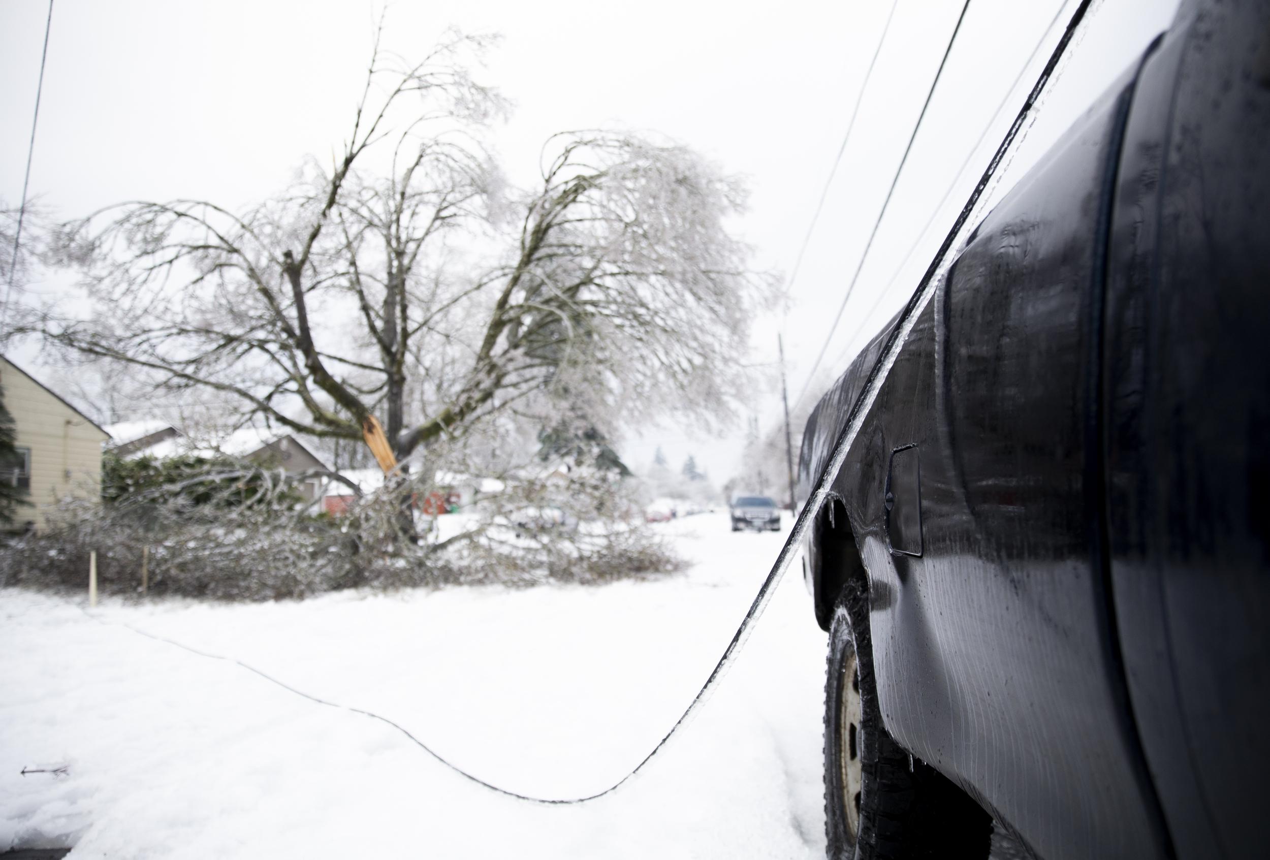 Winter Storm Warnings for 2 States Threaten 'Extensive' Power Line Damage