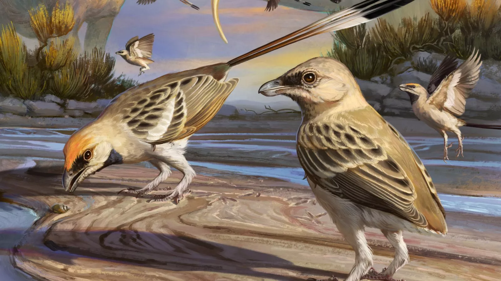 "One-of-a-kind" fossil from age of dinosaurs reveals new early bird species