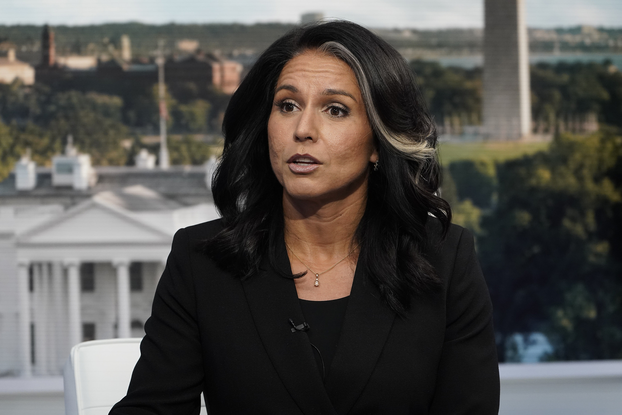 Is Tulsi Gabbard on TSA Terrorist Watchlist? What She's Said Newsweek