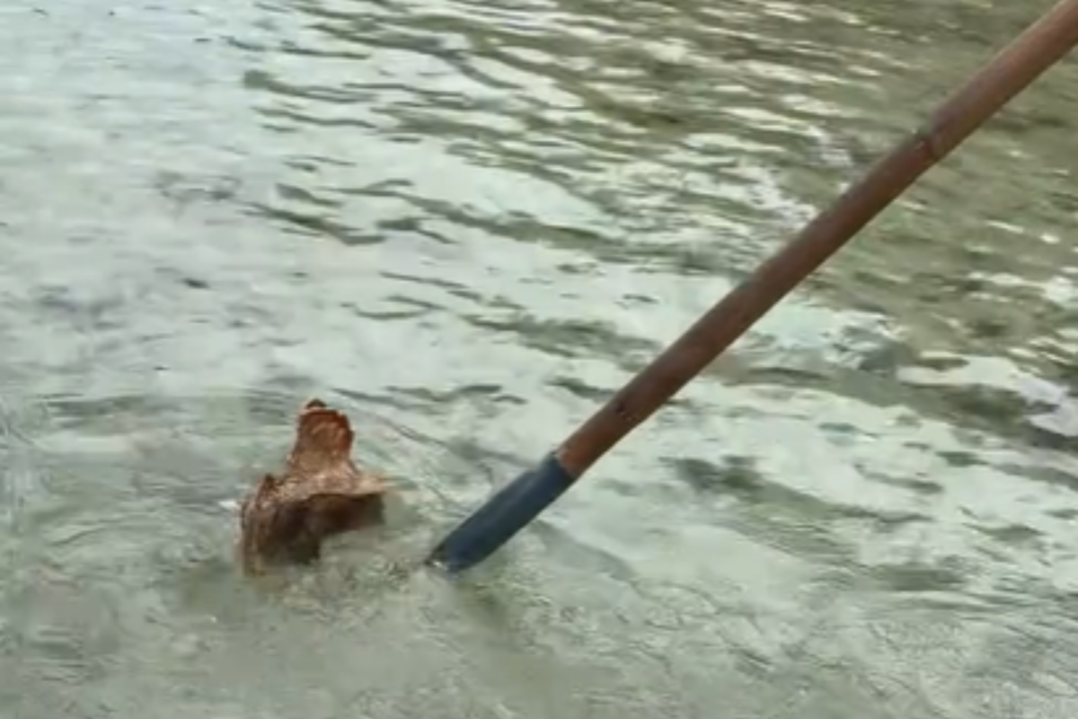 Turista non vede cosa si nasconde nell’acqua sotto di lei: ‘Puoi morire’