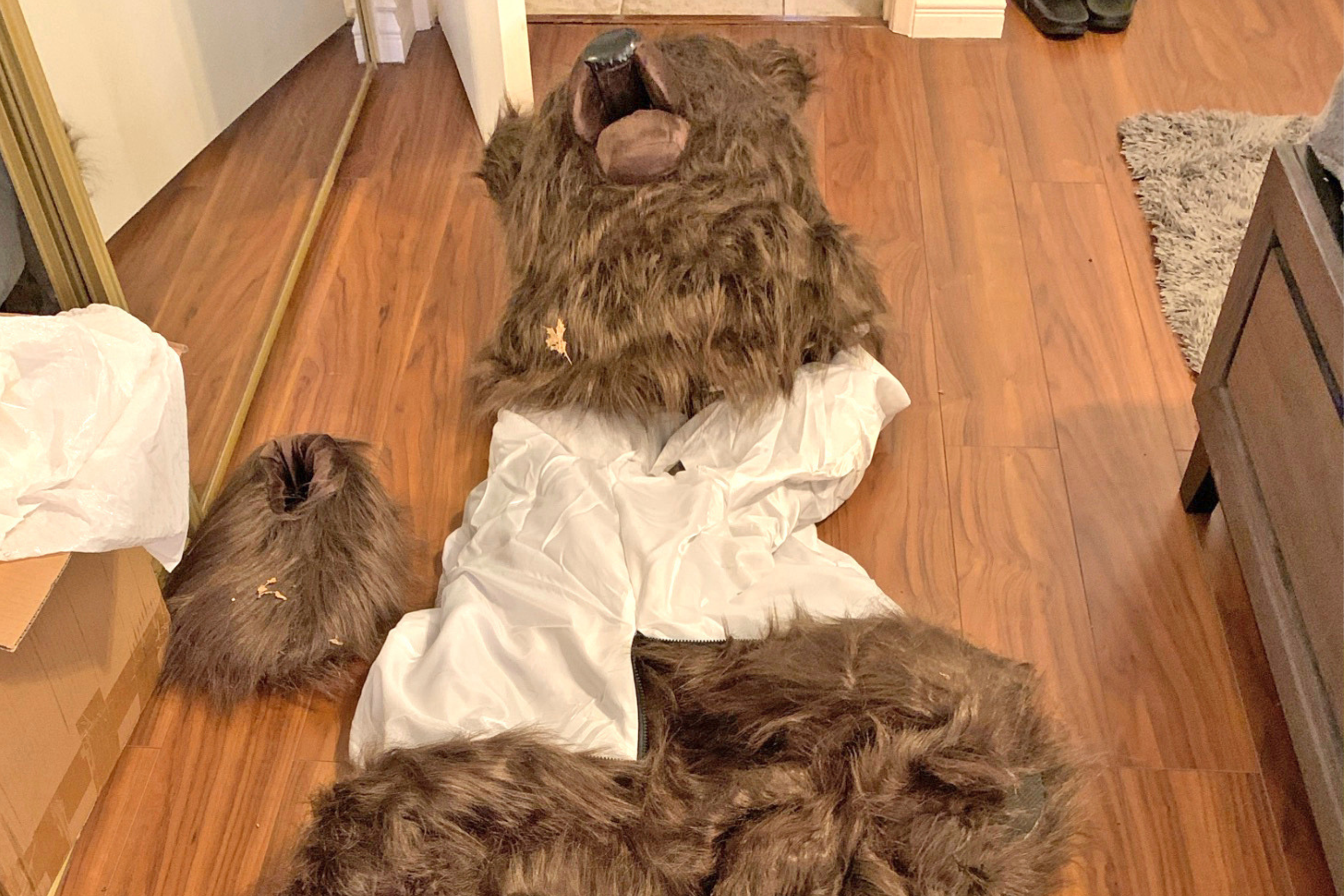 4 Arrested in Insurance Scheme Allegedly Used Bear Costume in Staged Attack