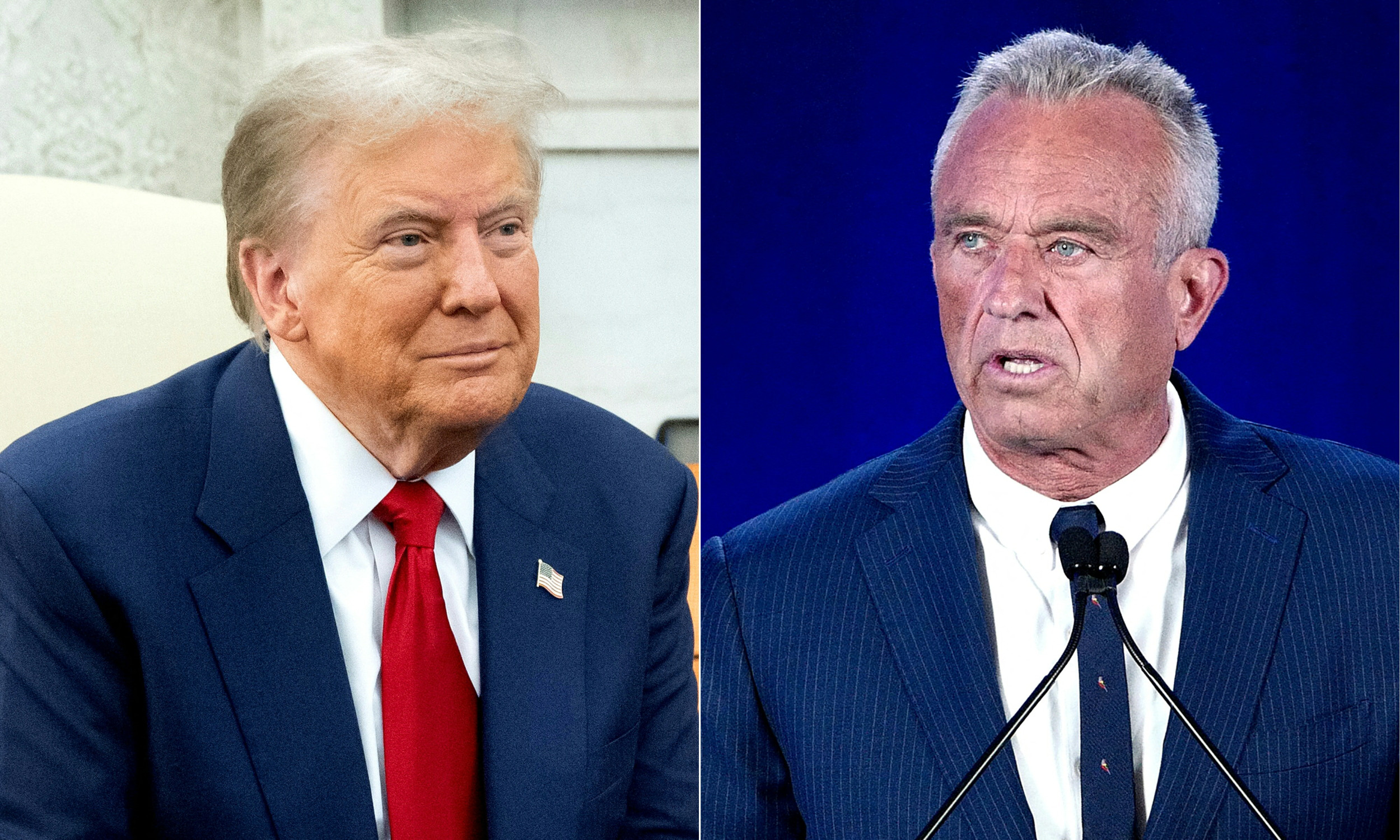 Election 2024 Live Updates: Democrats call Trump's RFK Jr ...