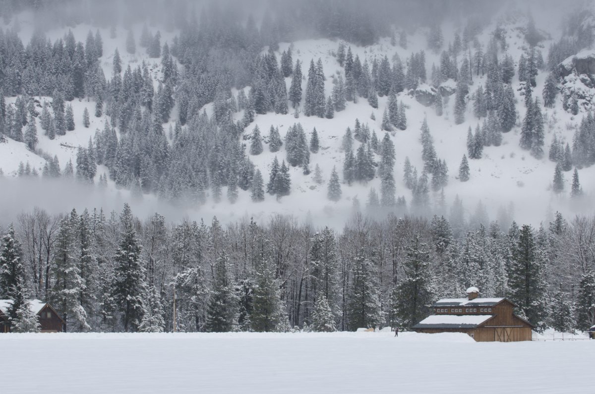 Washington snow