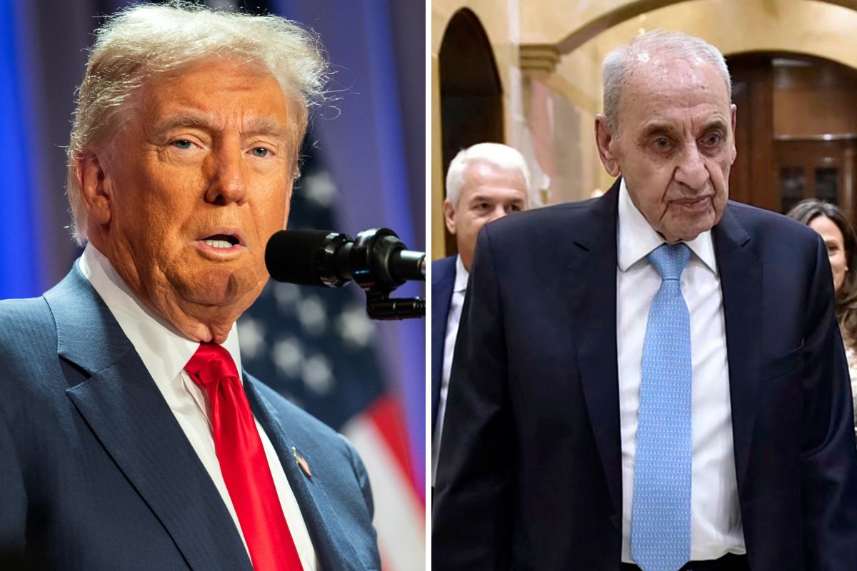 Donald Trump and Navi Berri