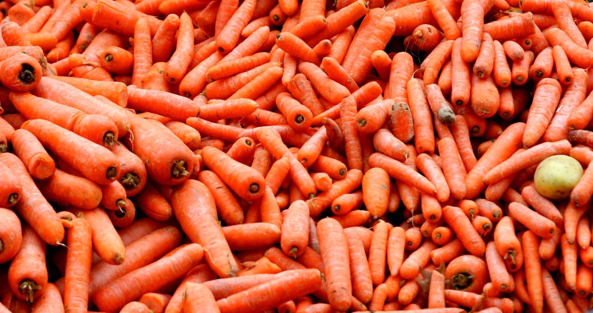 carrot broth