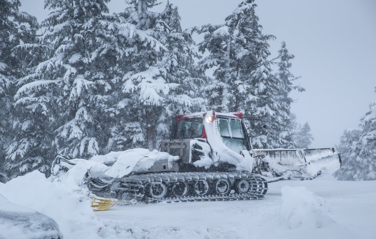 Snow in Oregon