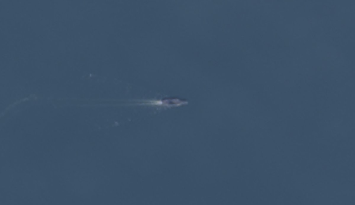 Chinese Aircraft Carrier Captured By US Satellite