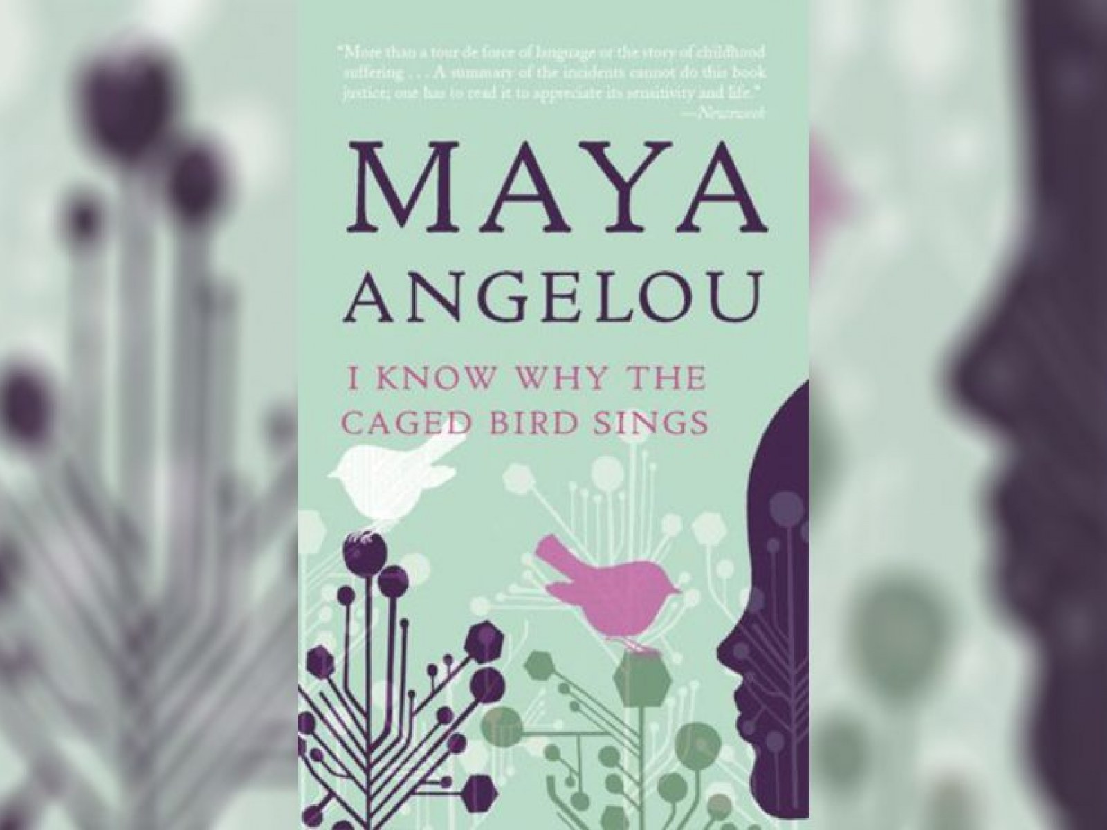 Newsweek S Original Review Of Maya Angelou S I Know Why The Caged Bird Sings