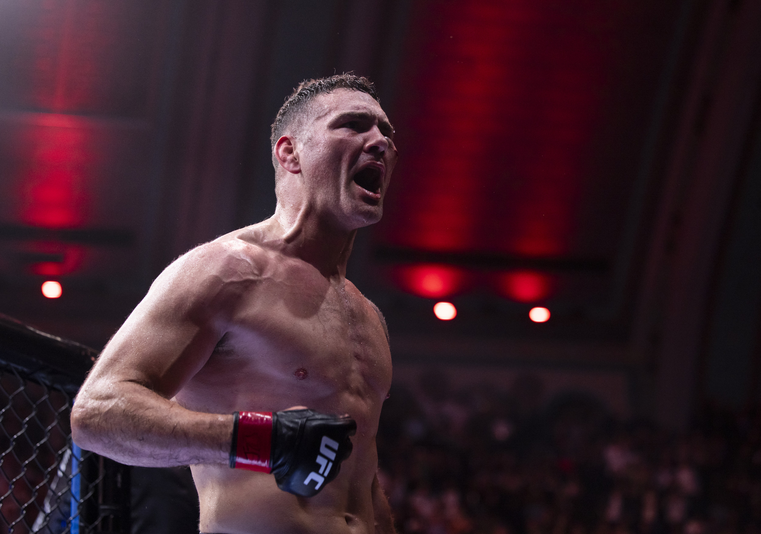 Weidman, Anders Rescheduled for UFC 310