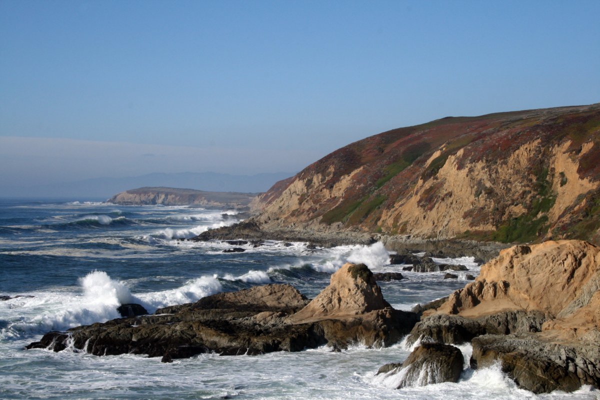 San Francisco Swimmers Told To Stay Out 