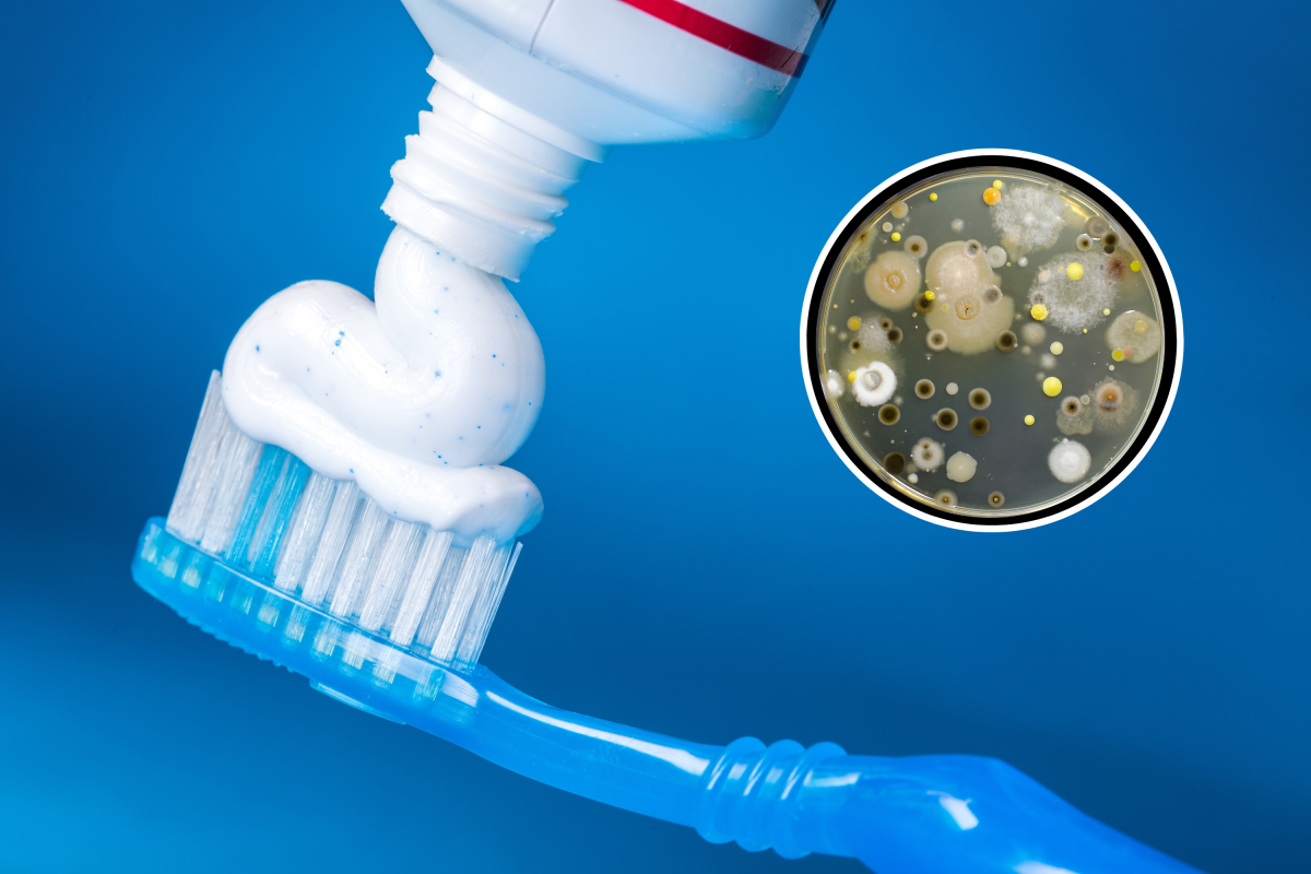 Toothpaste, mold, bacteria