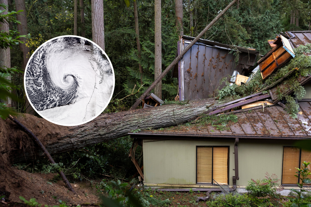 Bomb cyclone damage