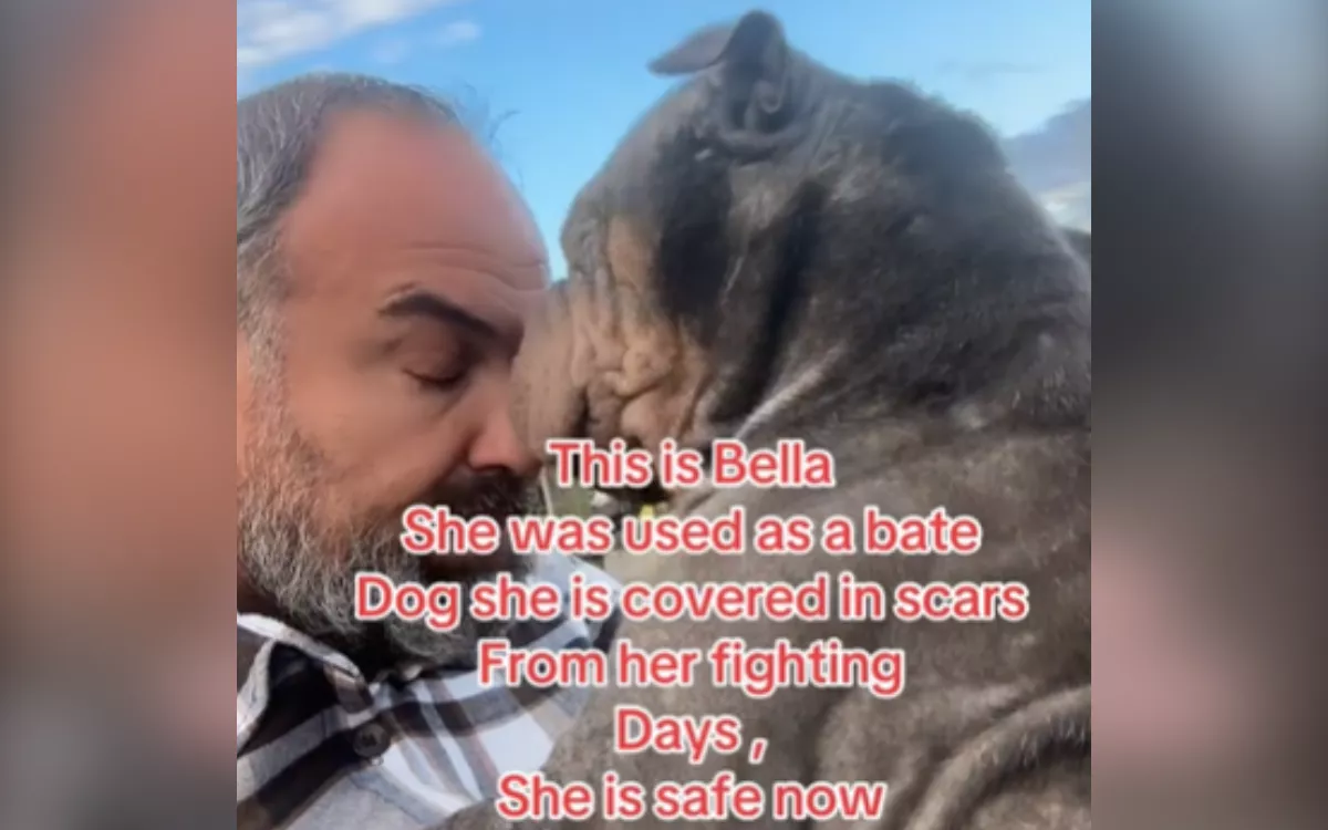 Bait dog who endured "pain everyday of her life" transformed through love