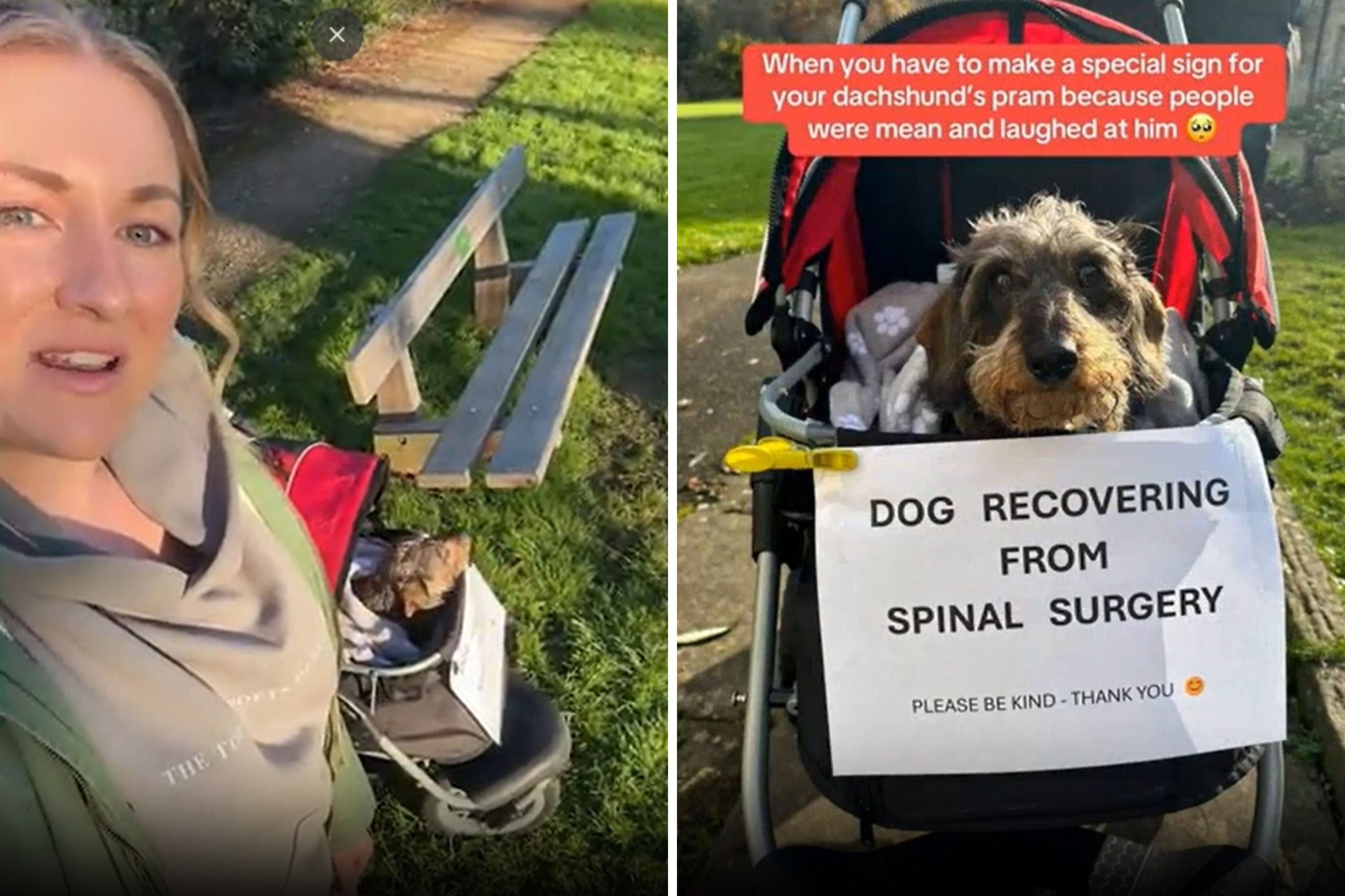 Dog Owner Uses Sign to Educate Strangers About Stroller Use After Pet’s Surgery