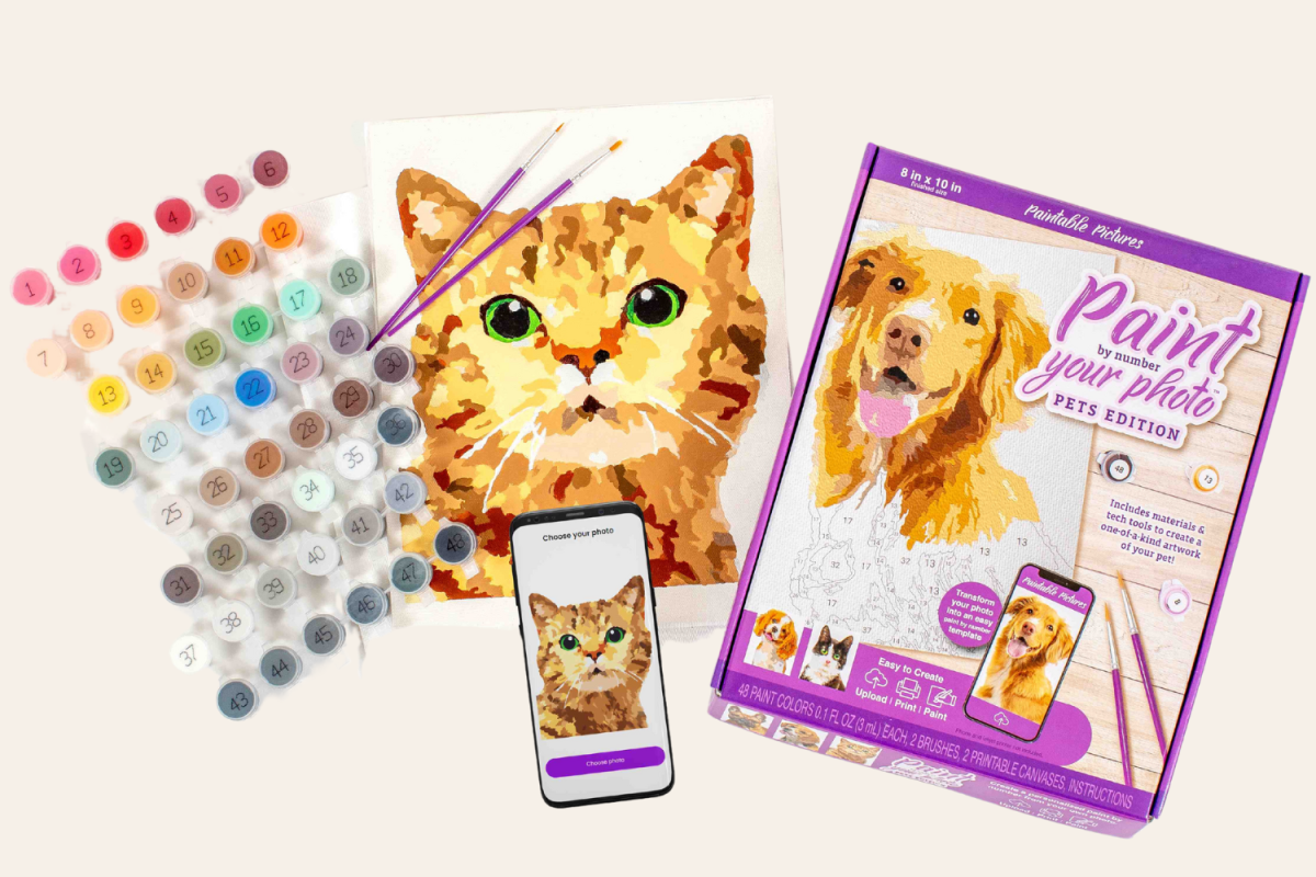 Pet Paint by Numbers