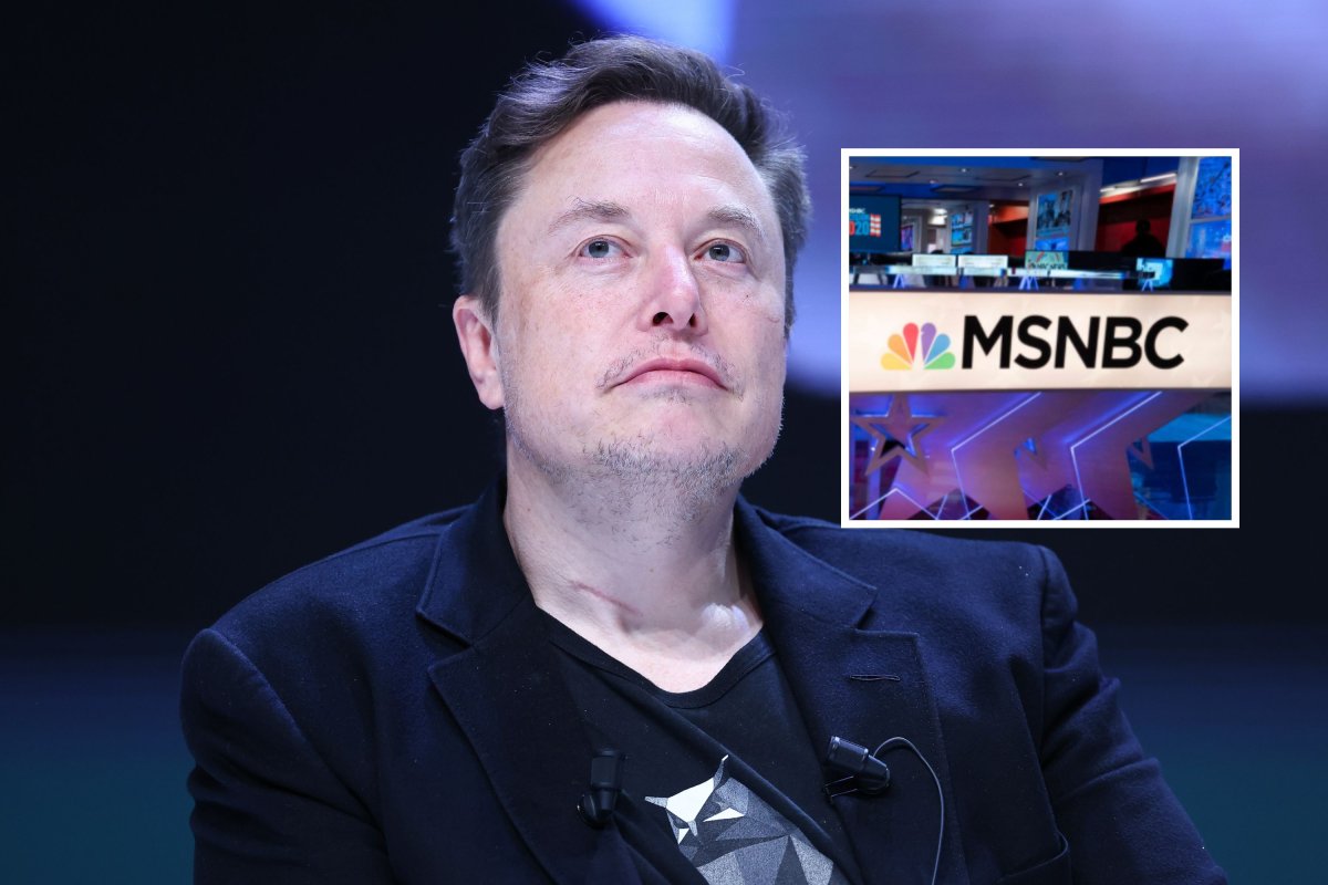 Musk MSNBC