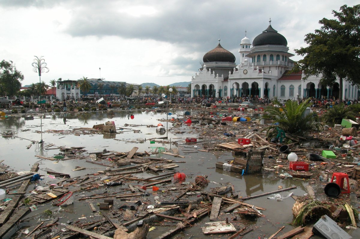 Impact of the Indian Ocean 2004 tsunami