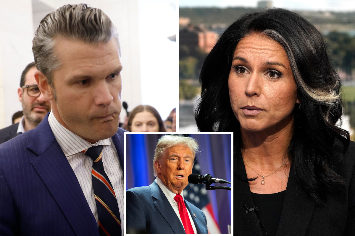 Pete Hegseth Tulsi Gabbard Cabinet