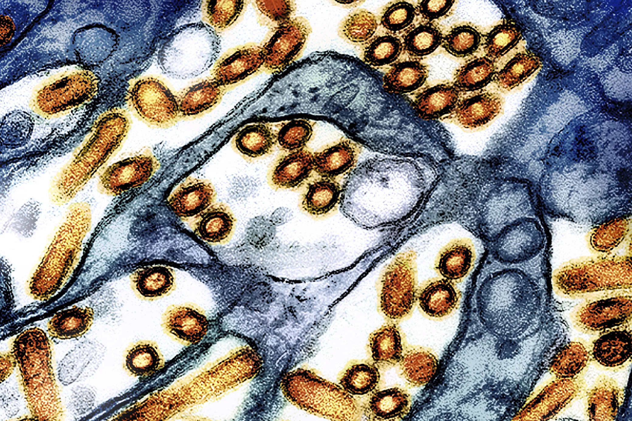 Raw milk recall as bird flu found during test