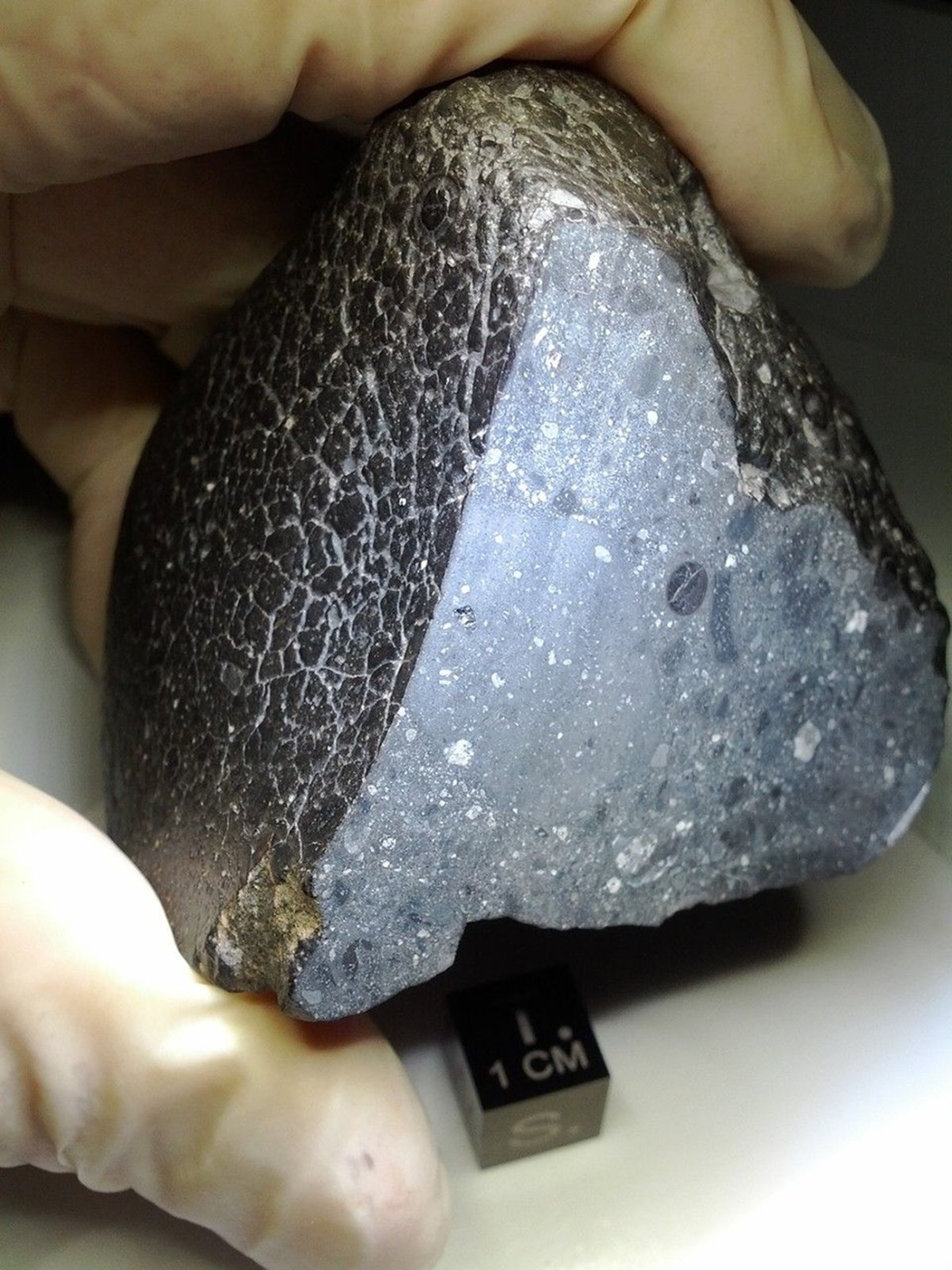 Martian Meteorite Nicknamed 'Black Beauty' 