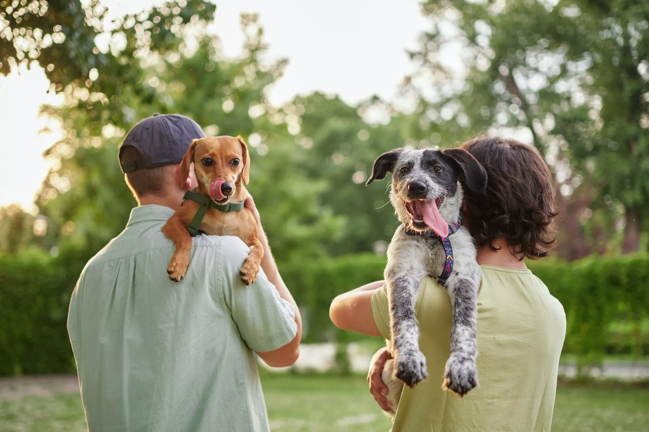 Expert reveals which generation makes the best pet owners