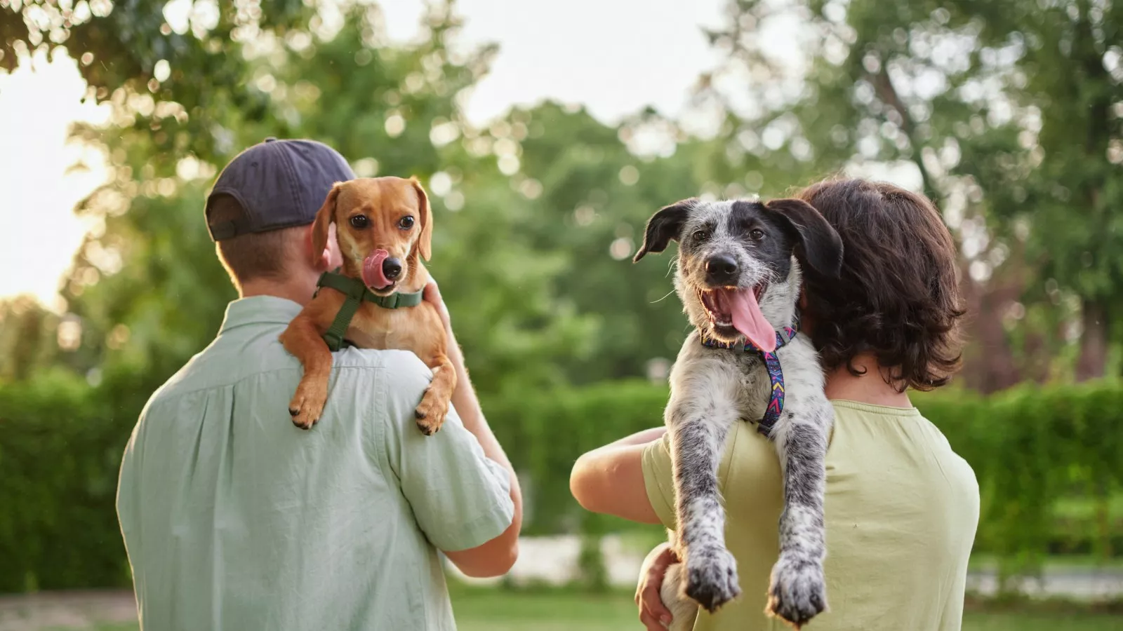 Expert reveals which generation makes the best pet owners