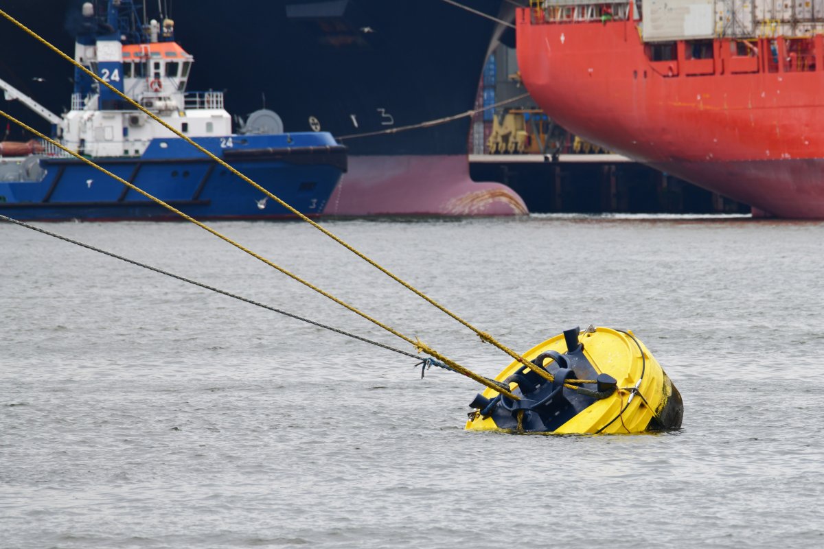 Buoy Floats in Harbor 