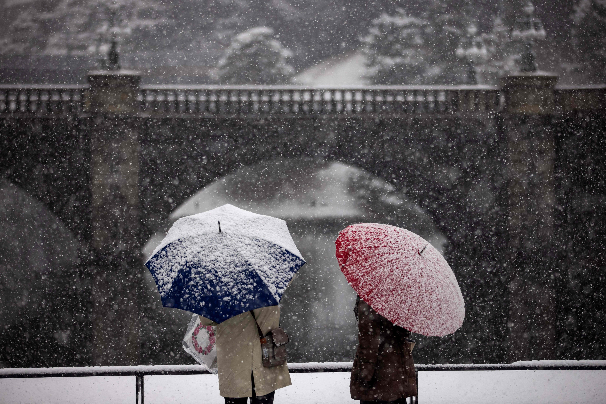 Aging Japan Faces Dating Hurdle As Births and Marriages Plummet
