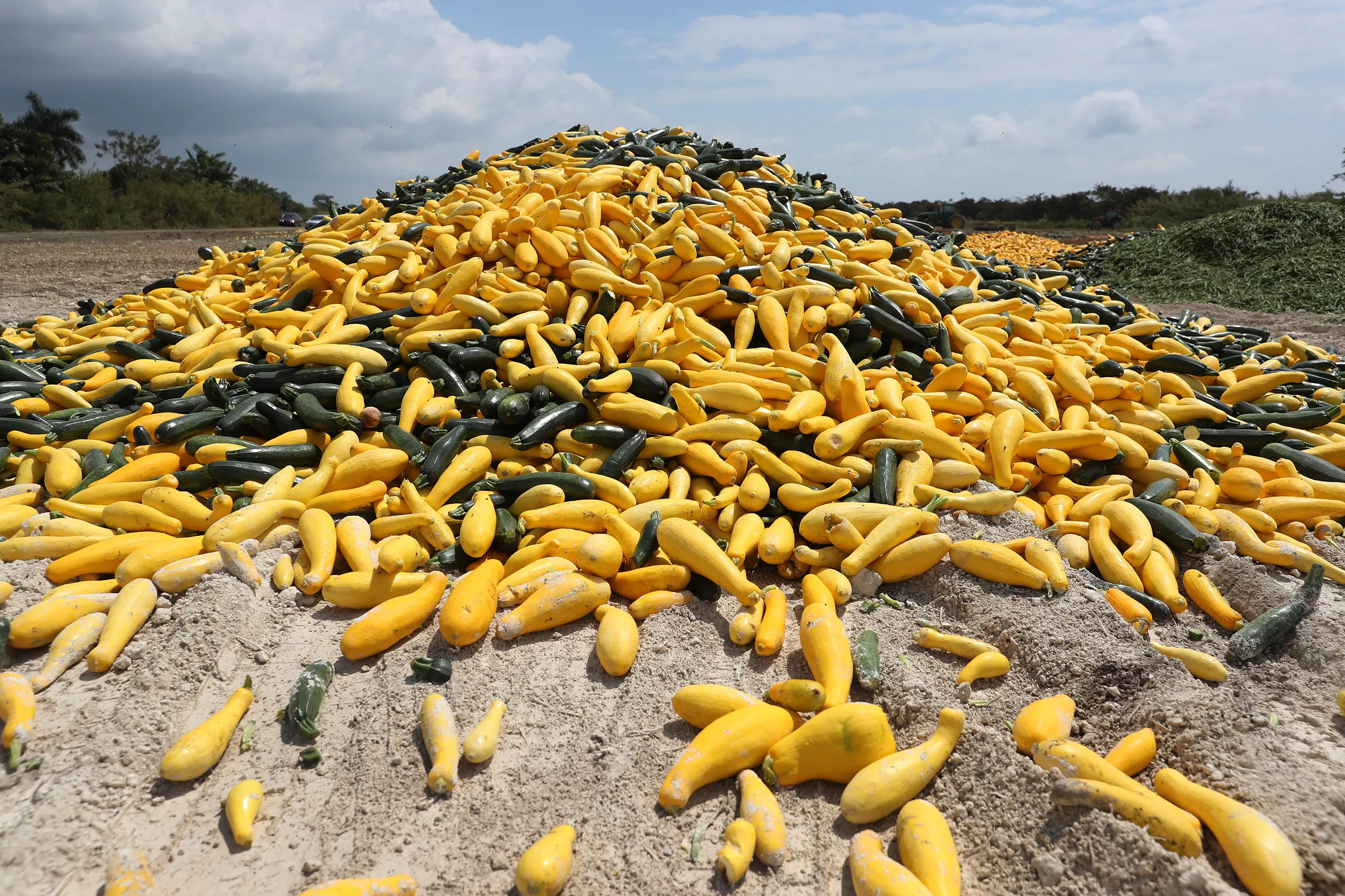 Squash recall issued for four states as FDA sets risk level