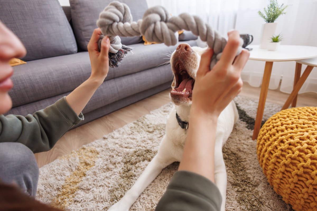 woman plays with dog on the floor